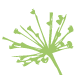 garanti for smagsoplevelser